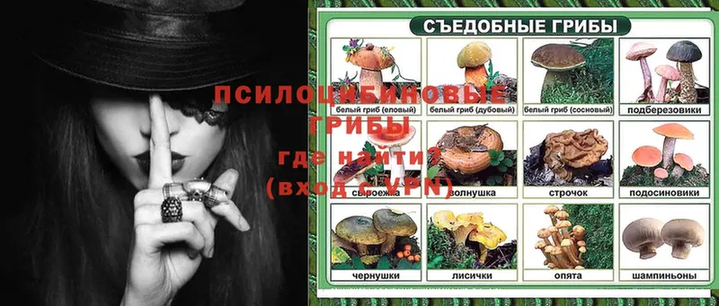 Псилоцибиновые грибы Psilocybine cubensis  mega ссылки  Надым 